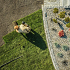 Ландшафтный дизайн участка